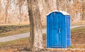 deluxe porta potty next to a tree